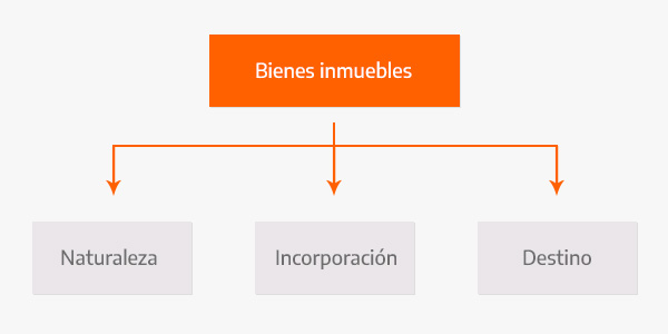 tipo de propiedad