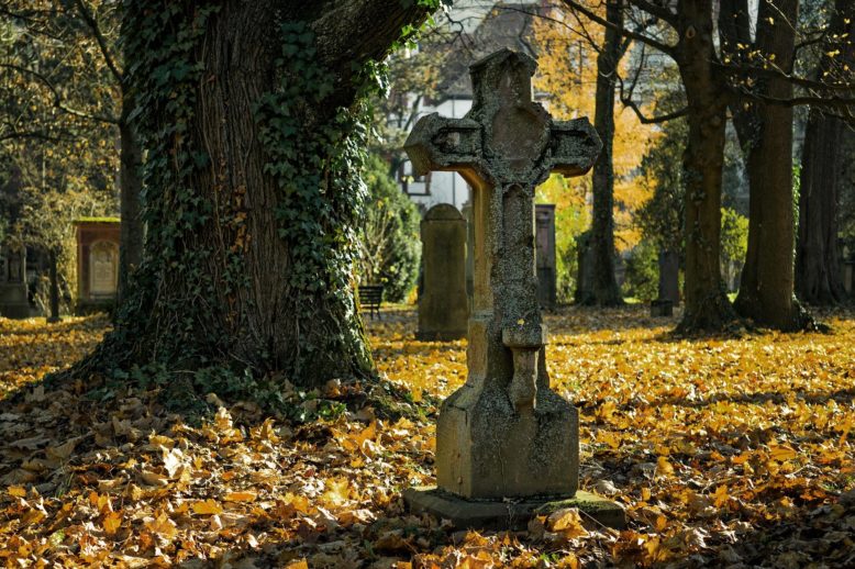 Los árboles, las hojas de otoño en las tumbas reflejan la muerte