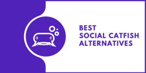Best-Social-Catfish-Alternatives.png