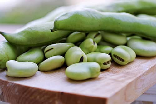 signification de rêver avec des haricots