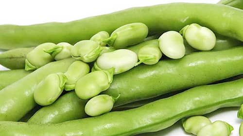 rêver avec des haricots signification