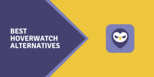 15 meilleures alternatives de surveillance aérienne 2023 Best-hoverwatch-Alternatives.png