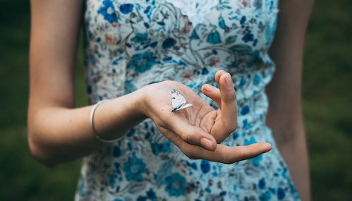 Quel message véhicule le papillon ?