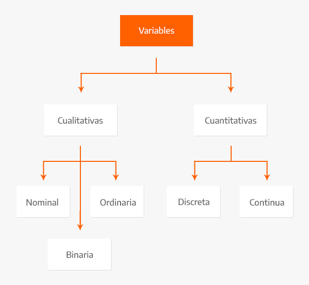Variable на русском. Variables. Variable Твиттер. Обнова variable. Variability statistics.
