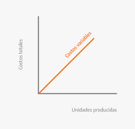 Representative graph of variable costs