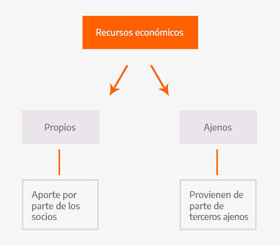 Classification of economic resources