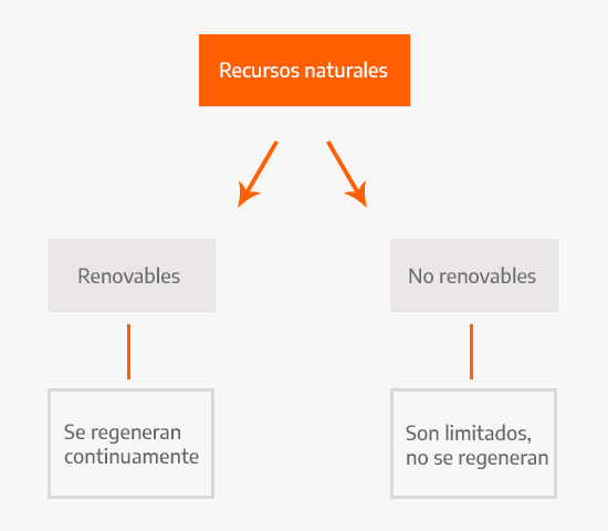 Types of natural resources