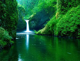 Natural environment