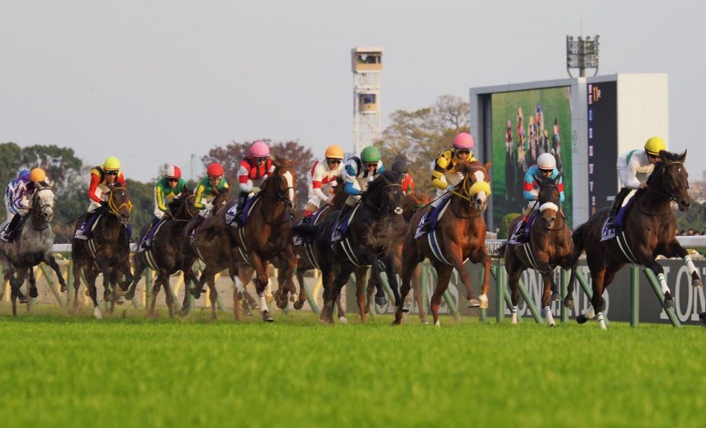 Horse racing in Japan; The most famous? 【 2022