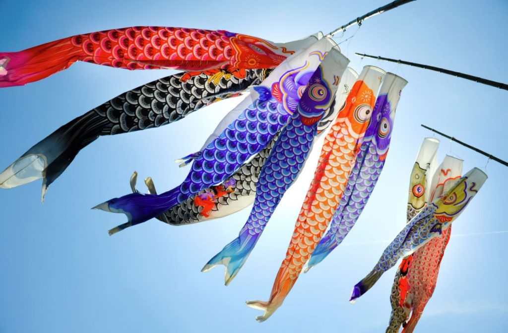 kodomo no hi japanese koi carp kodomo no hi japanese koi carp