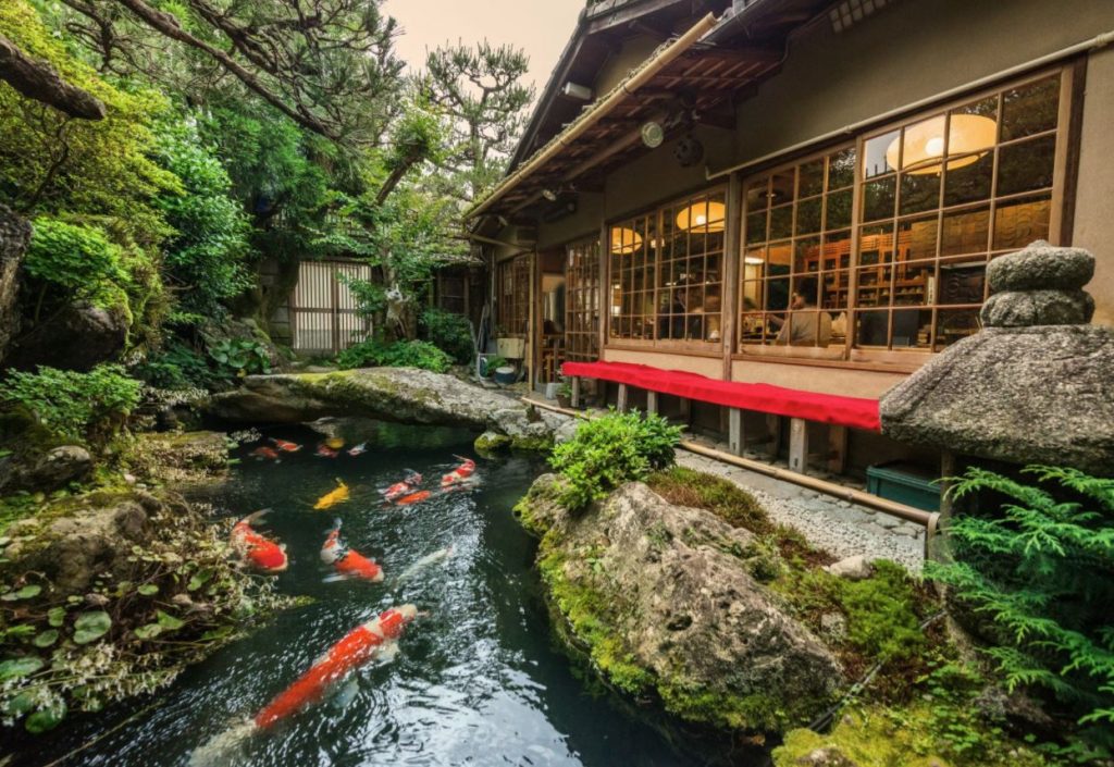 japanese koi fish in japan japanese koi fish in japan