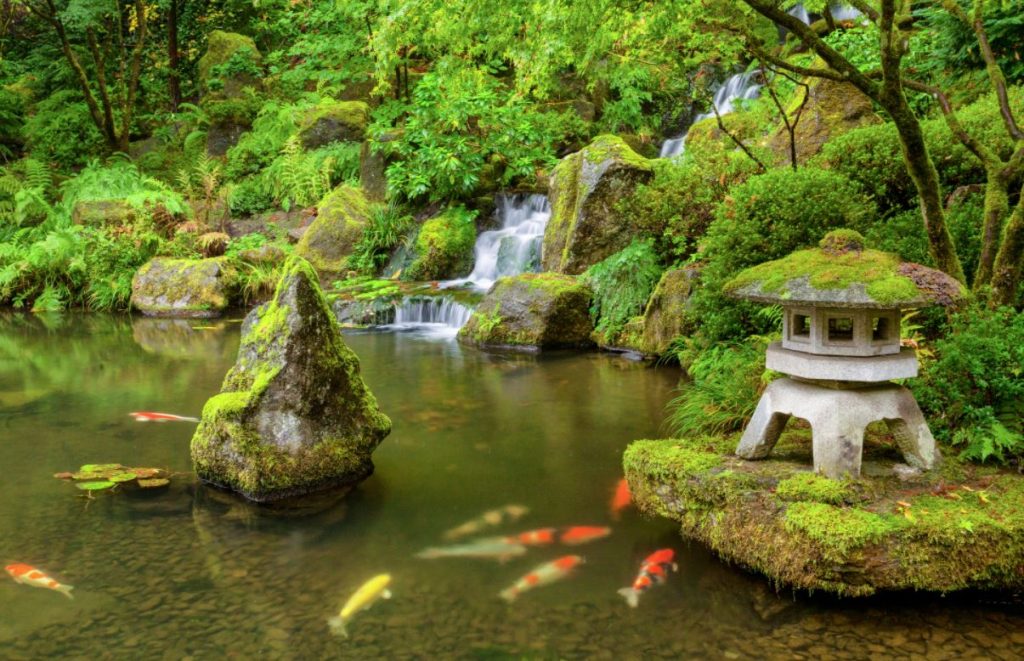 koi fish japanese meaning koi fish japanese meaning