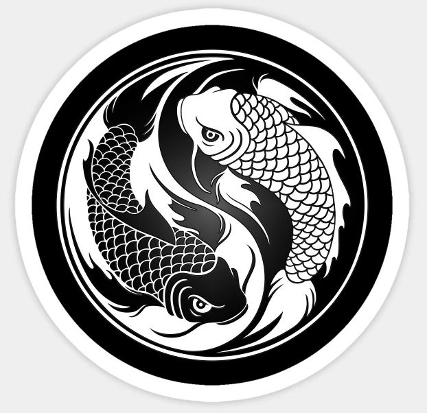 yin yang koi fish meaning alternate japan yin yang koi fish meaning alternate japan