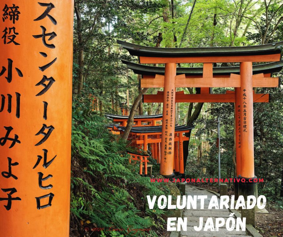 volunteer work in japan volunteer work in japan