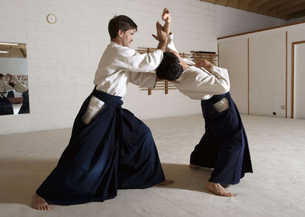 martial arts with hands martial arts with hands