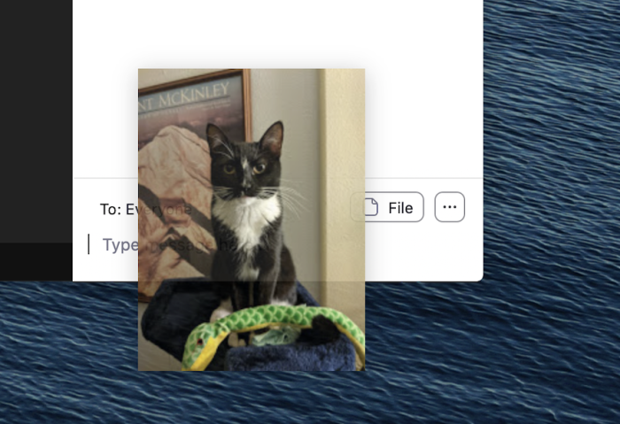 zoom-chat-tips-04-upload-file Arrastrar un archivo al chat de Zoom