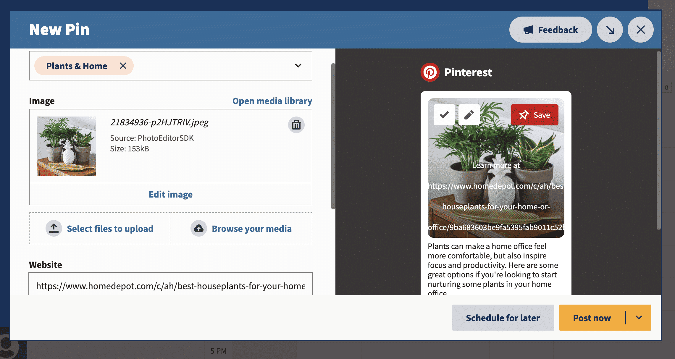 How to Use a Pinterest Scheduler to Make Your Job Easier Plants & Home pin details