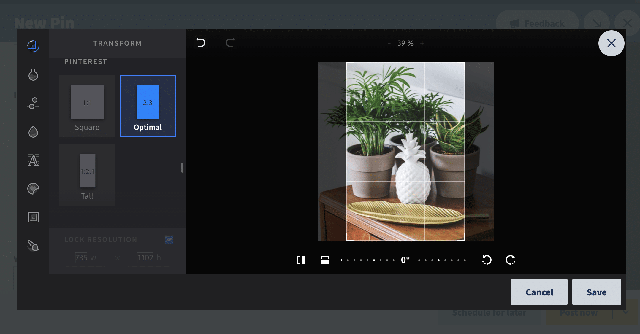 How to Use a Pinterest Scheduler to Make Your Job Easier edit image of plants
