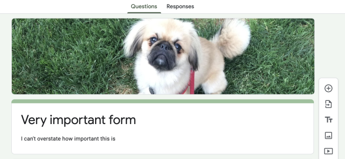 personalizar-google-formularios-header-image-05-winston-header Mostrar cómo se ve una imagen vertical como encabezado
