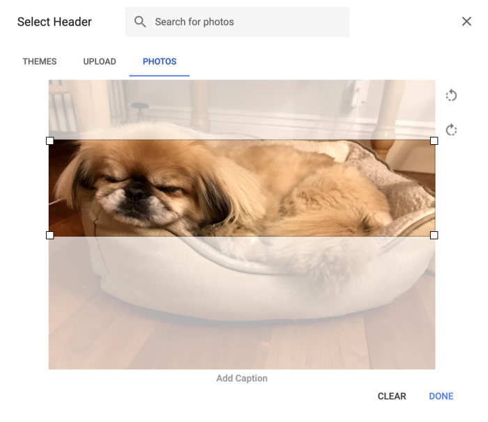 personalizar-google-formularios-header-image-06-winston-horizontal Una imagen horizontal como encabezado