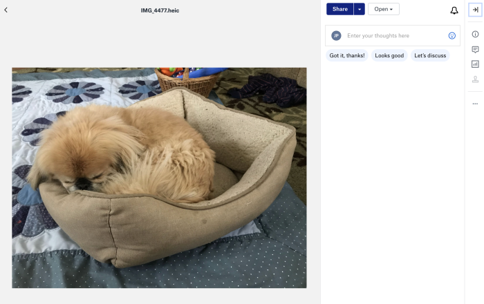 Un archivo de Dropbox compartido