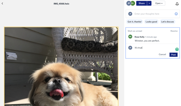 Un archivo en Dropbox con comentarios
