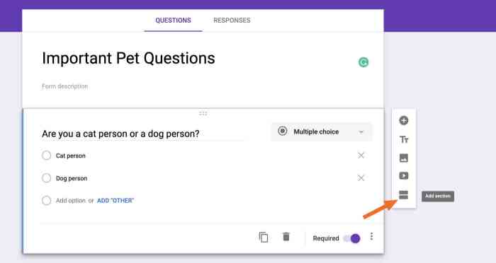 google-forms-tips-10-add-section Agregar una sección en Formularios de Google