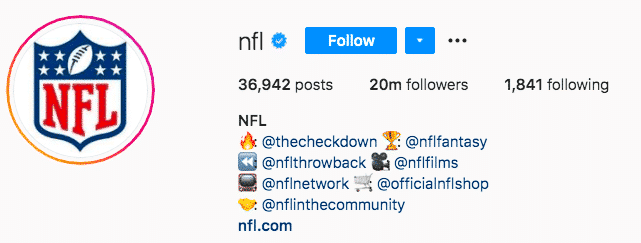 17 ideas biográficas de Instagram + cómo crear las tuyas propias (plantillas) NFL