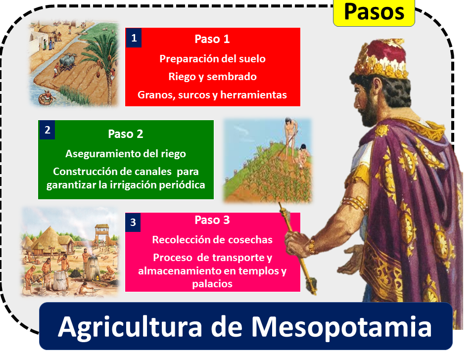 Agricultura mesopotámica Agricultura mesopotámica 1