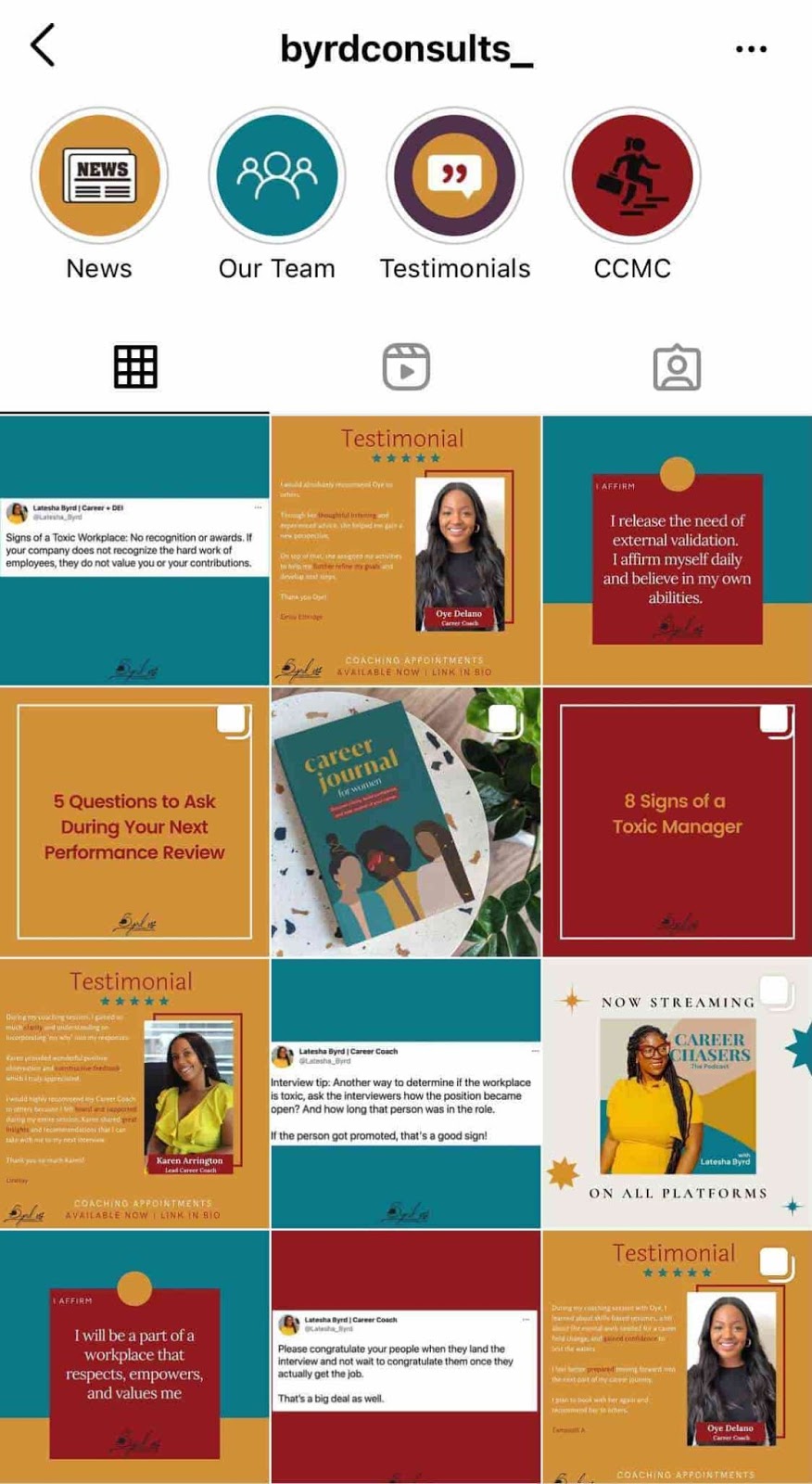 Ejemplo de Byrd Consults de tema cohesivo de instagram