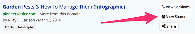 La guía definitiva de infografías Captura de pantalla de BuzzSumo.