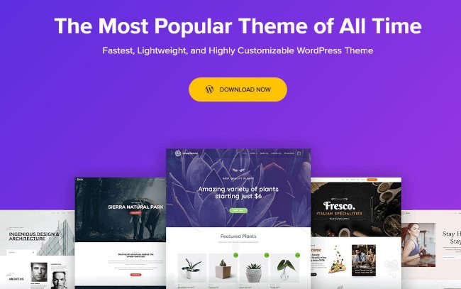 25 de los mejores temas gratuitos de WordPress para bloggers en 2021 tema del blog de wordpress astra