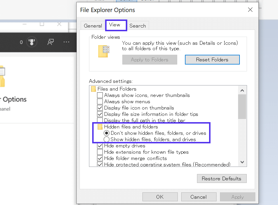 Alternar Opciones del Explorador de archivos para mostrar elementos ocultos.