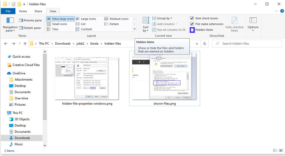 Explorador de archivos de Windows que muestra archivos ocultos.