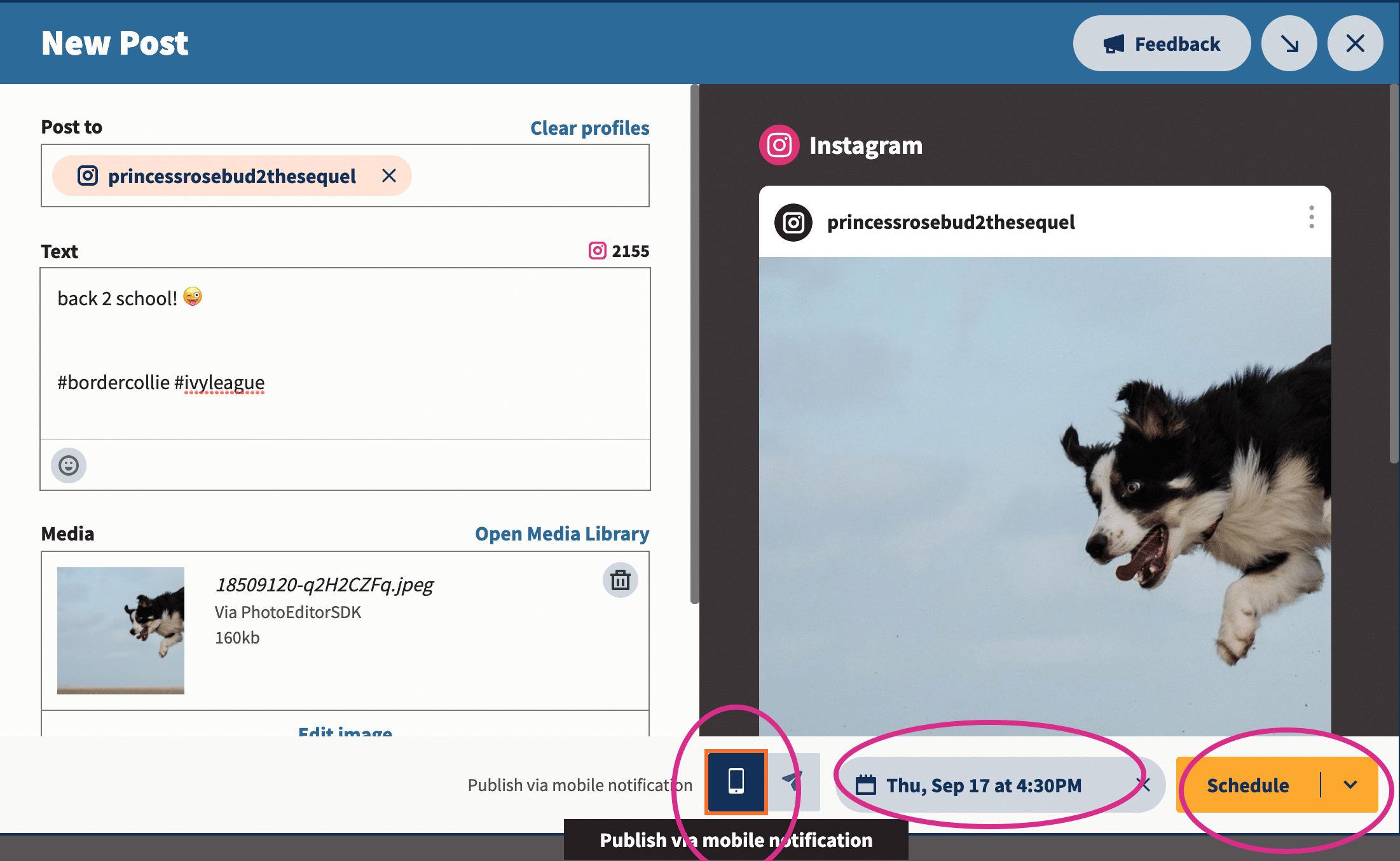 Cómo programar publicaciones de Instagram (3 métodos + consejos adicionales) Programar publicaciones de Instagram para perfiles no comerciales