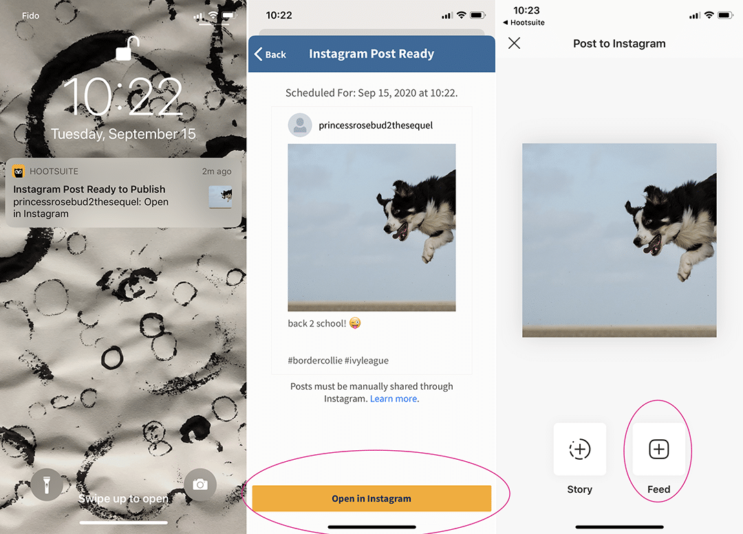 Cómo programar publicaciones de Instagram (3 métodos + consejos adicionales) Publicar una publicación de Instagram en un perfil no comercial