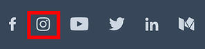 insignia de instagram en un sitio web