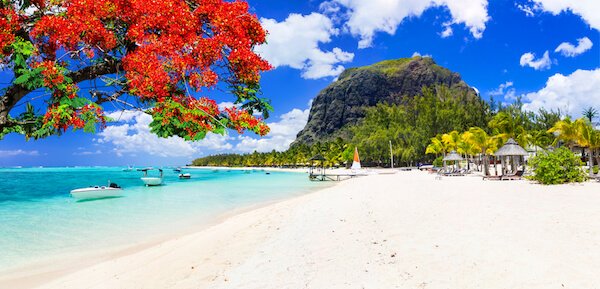 Playa de arena blanca en Le Morne Mauricio con Flame Tree