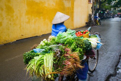 Vendedor ambulante de Vietnam
