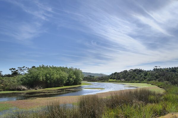Arroyo Maldonado en el sur de Uruguay