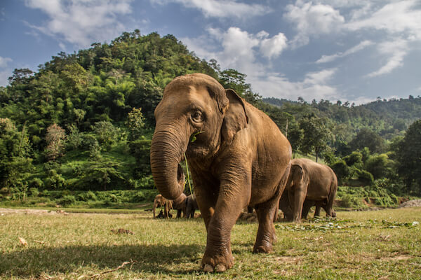 Hechos de Tailandia