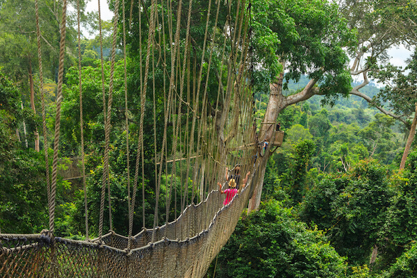 Canopy walk en el Parque Nacional Kakum de Ghana