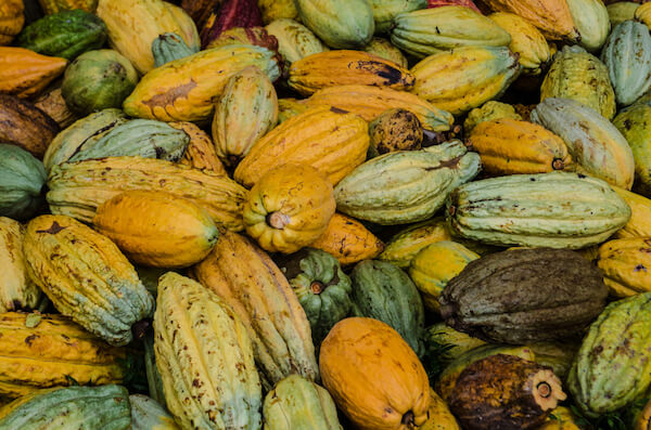 Granos de cacao: Ghana es uno de los principales productores de cacao
