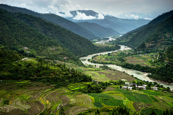 Bután Bután