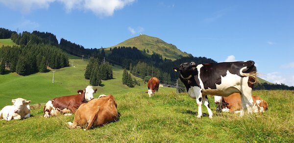 Austria