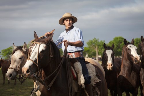gaucho, imagen de sunsinger en shutterstock.com