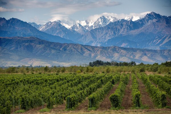 Valle del vino de Mendoza en Argentina