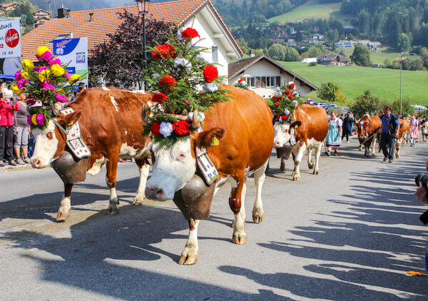Hechos sobre Suiza | Geografía | Gente | Festivales