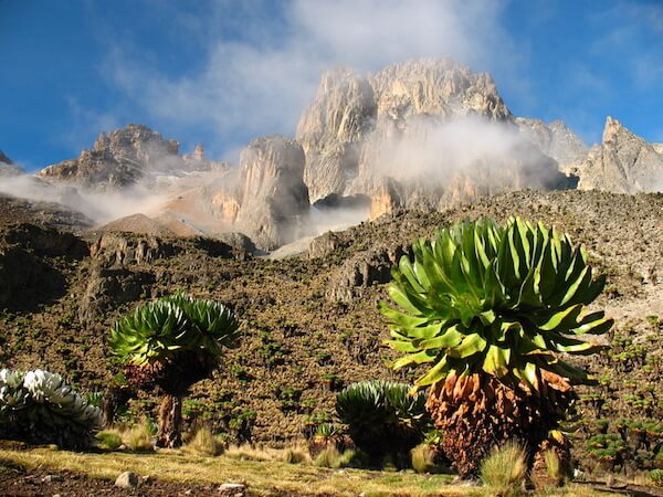 Monte Kenia - imagen de David Patek