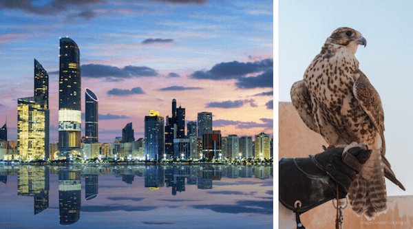 Encabezado de datos de los EAU: Abu Dhabi es la capital y la cetrer&iacute;a es un deporte popular en los EAU - im&aacute;genes de Shutterstock.com